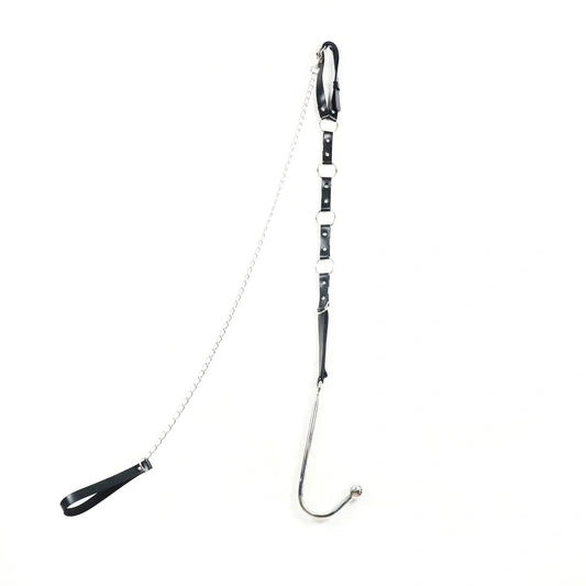 Anal Hooks Kinky Hook Leash and with EverydayUse 5853 Anal Collar 0816